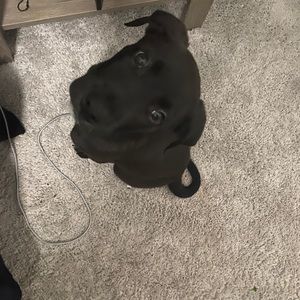 Meet your Posher, Joshua